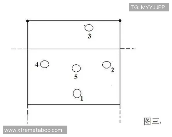 杭州排球队的战术演变与技术提升深度解析