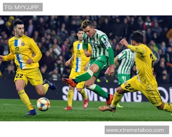 足球明星球队全景解析：从历史辉煌到当代巨星的精彩旅程